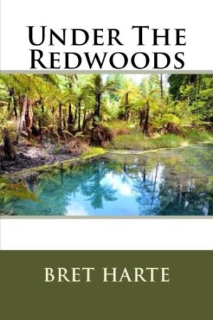 Under the Redwoods